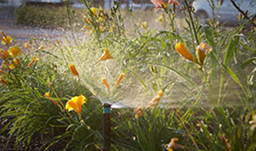 Westchester County Lawn Sprinkler Installation