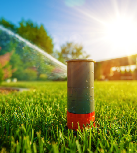 Reason to install water sprinkler system