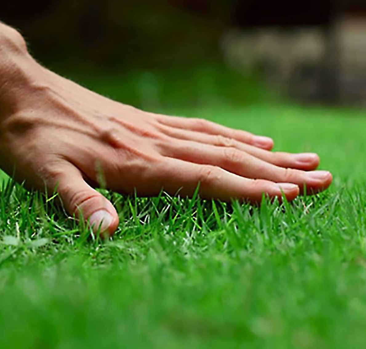 Golf Ground