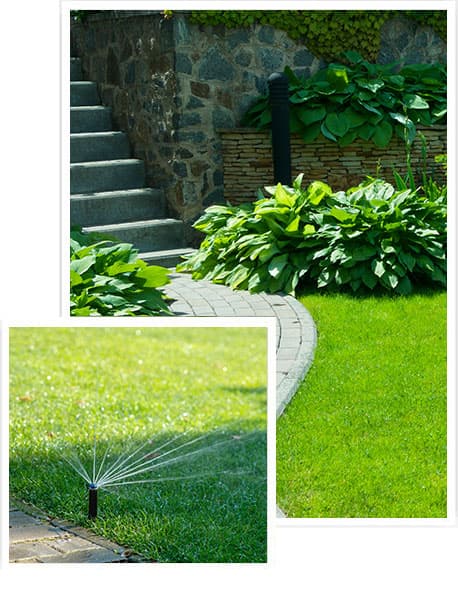 Residential Irrigation and Lighting Westchester County NY