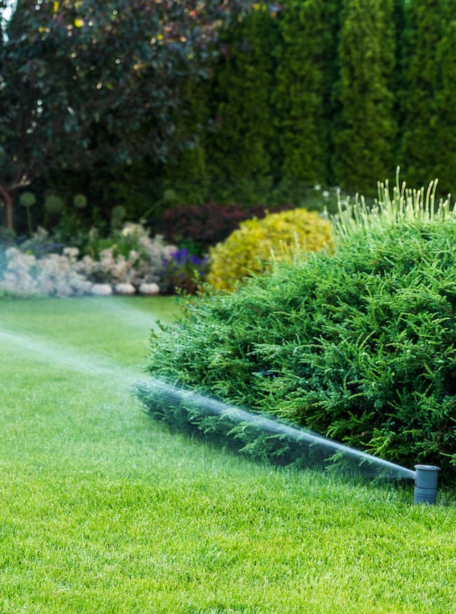 Lawn Sprinklers And Water Requirements