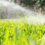 Common Lawn Sprinkler System Repairs