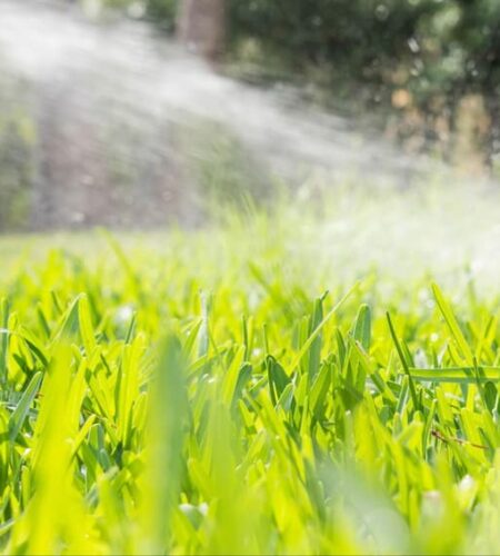 Common Lawn Sprinkler System Repairs