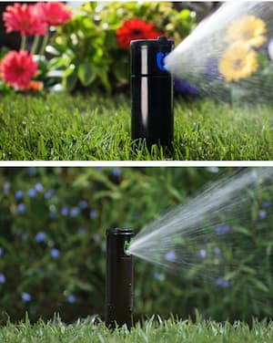 Which is better, a plastic or brass sprinkler head?