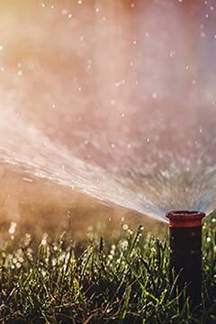 Benefits Of Sprinkler System