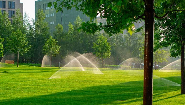 Professional Falco Lawn Sprinklers Winterization