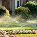 Common Irrigation Problems in Westchester & Fairfield