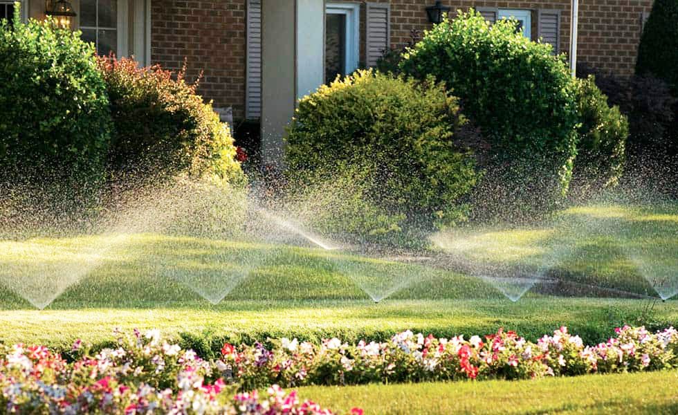 Common Irrigation Problems in Westchester & Fairfield