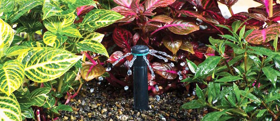 Irrigation Systems in Westchester & Fairfield Counties