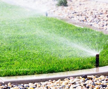 Smart Watering & Rock-Solid Reliability