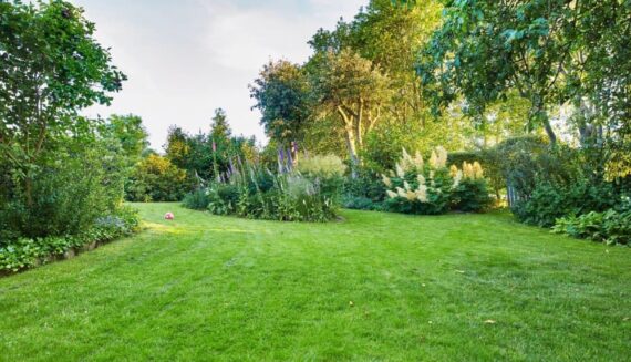Smart Late-Summer Lawn Services