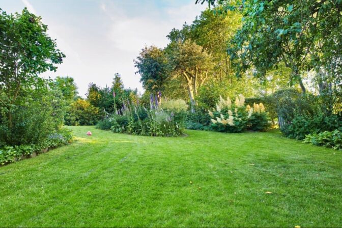 Smart Late-Summer Lawn Services