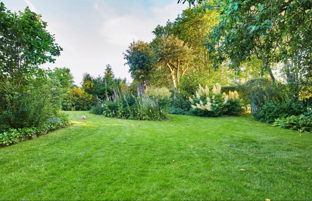 Smart Late-Summer Lawn Services