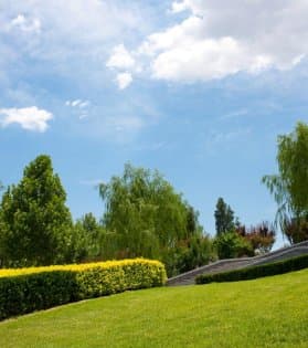 Summer Lawn Services
