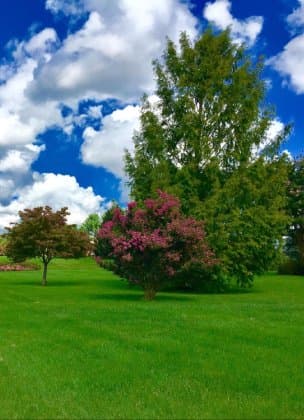 Top Services for Homes with In-Ground Sprinklers