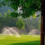 Automated Lawn Sprinkler Systems