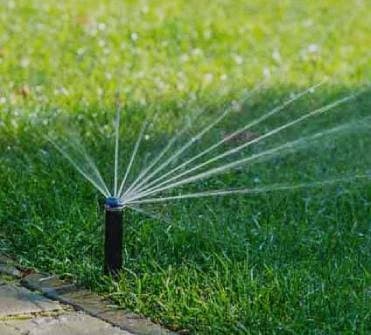 Traditional Sprinkler in Westchester