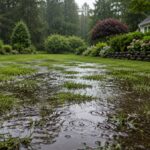 Fall lawn aeration and overseeding in Fairfield County CT